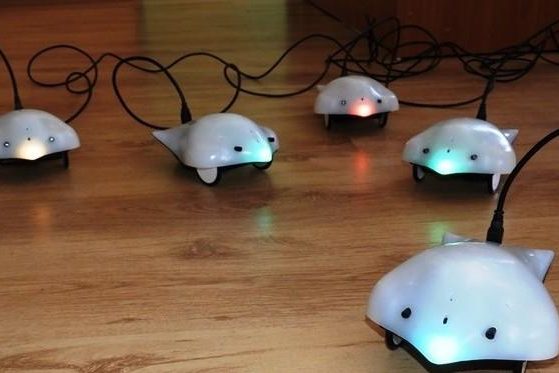 dscn4622-26522-1000×0