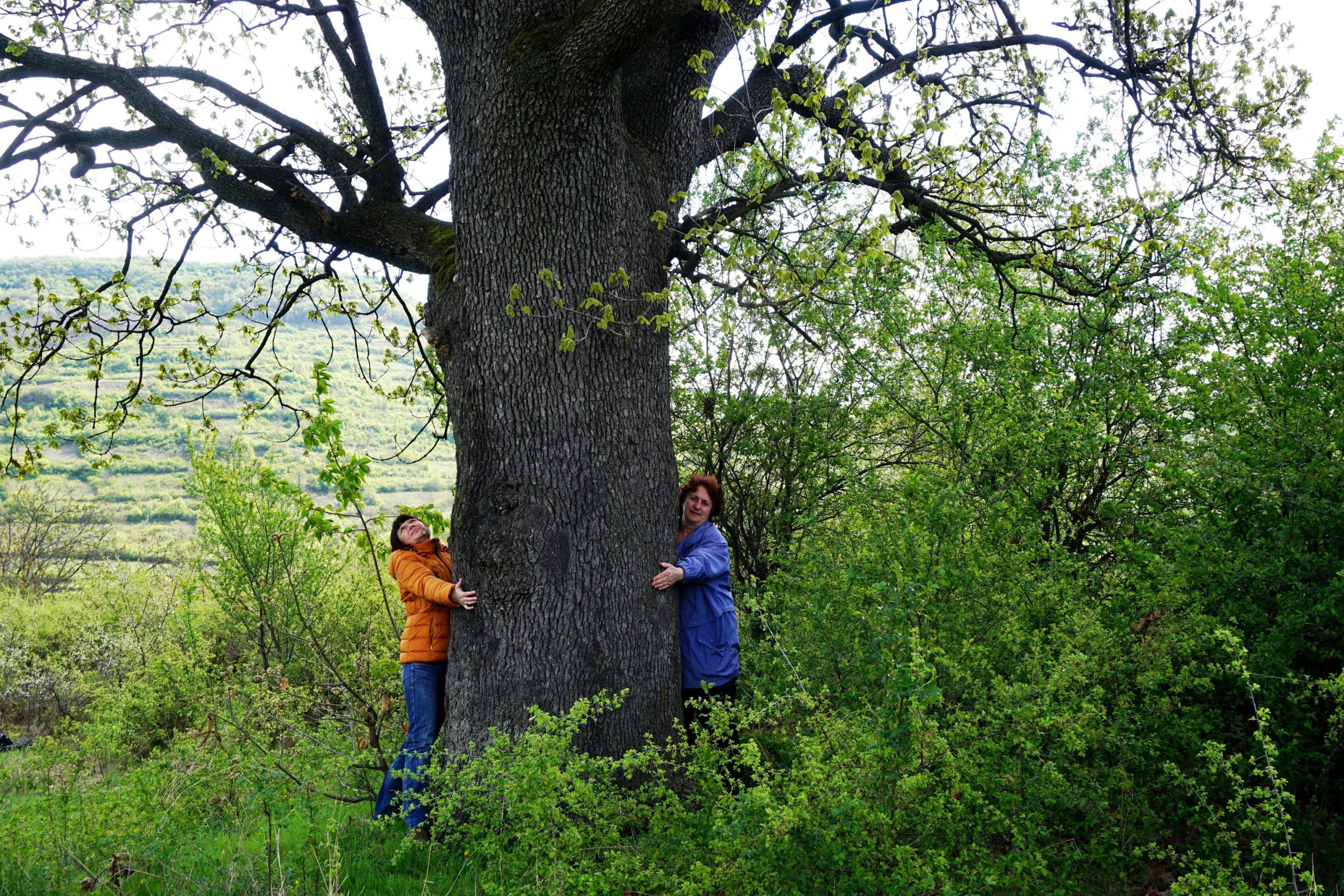 371536592_268929699339569_1469509954484001722_n